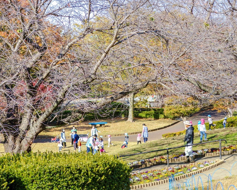 近所の保育園児が遊びに来ていました
