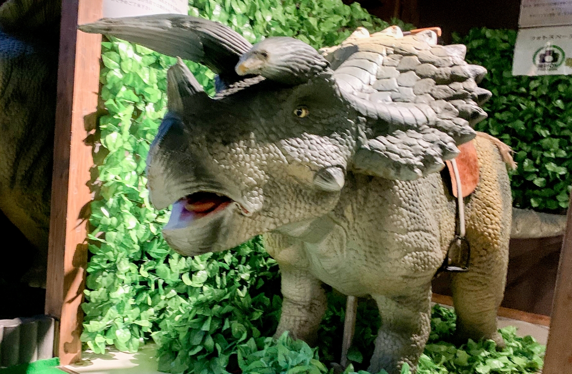 アンキケラトプスに乗って店内を一周できる「恐竜ライド」はお子さんに大人気!(写真は展示用のトリケラトプス)