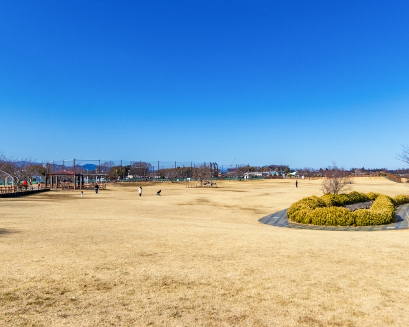 思いっきり駆け回れる芝生広場。地平線が見えそう