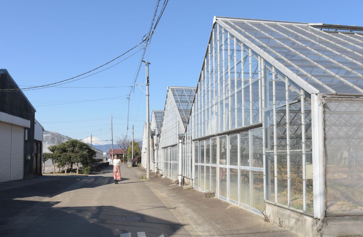 いちご街道風景