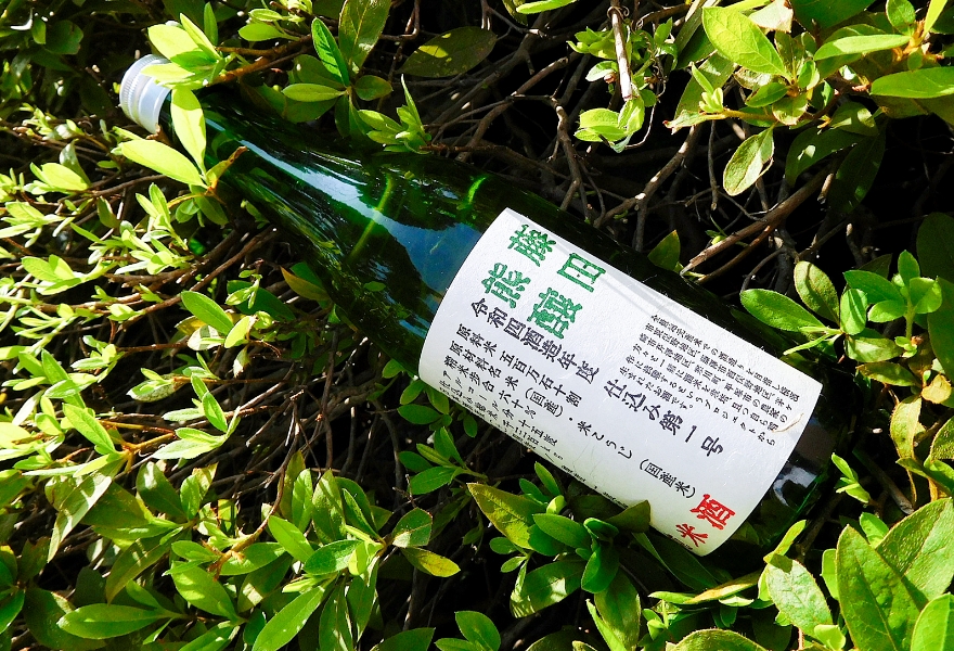 藤沢産米100%の日本酒が完成!