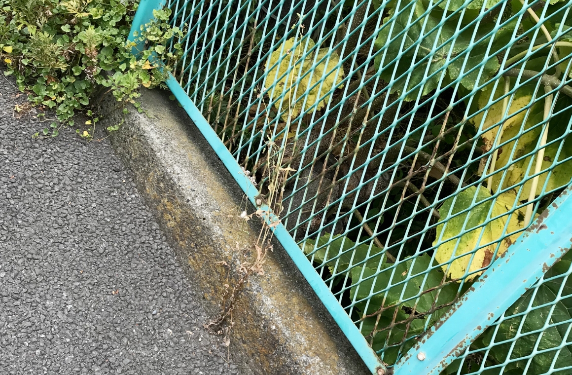 「なんどき橋」が架かっていた跡。