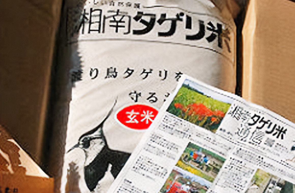 茅ヶ崎の新名物も続々と誕生