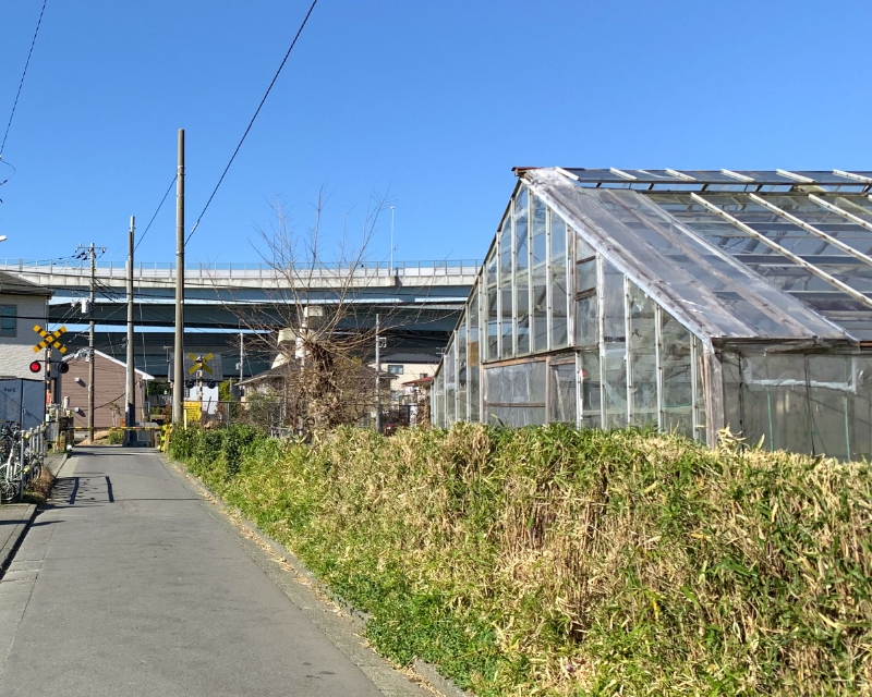 宮山駅周辺には花き栽培のハウスが点在