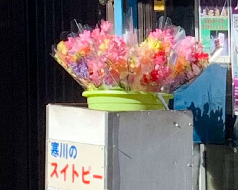 宮山駅前で町内産スイートピーを発見