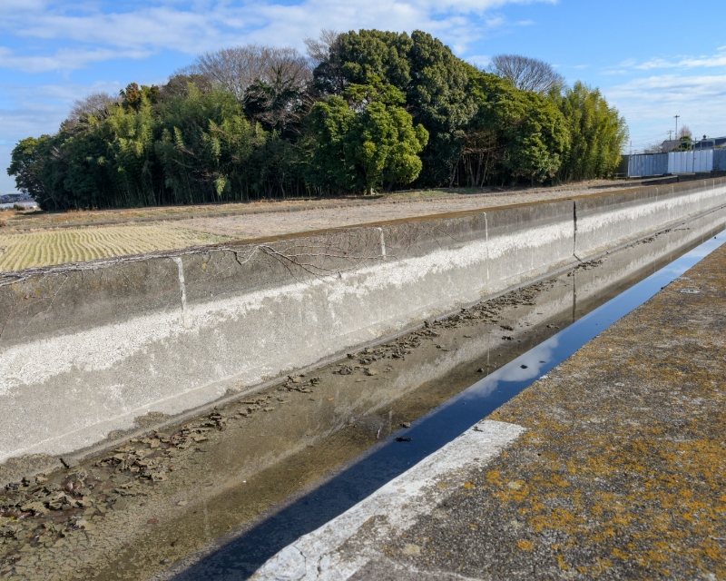 稲作に欠かせない、大事な水路です