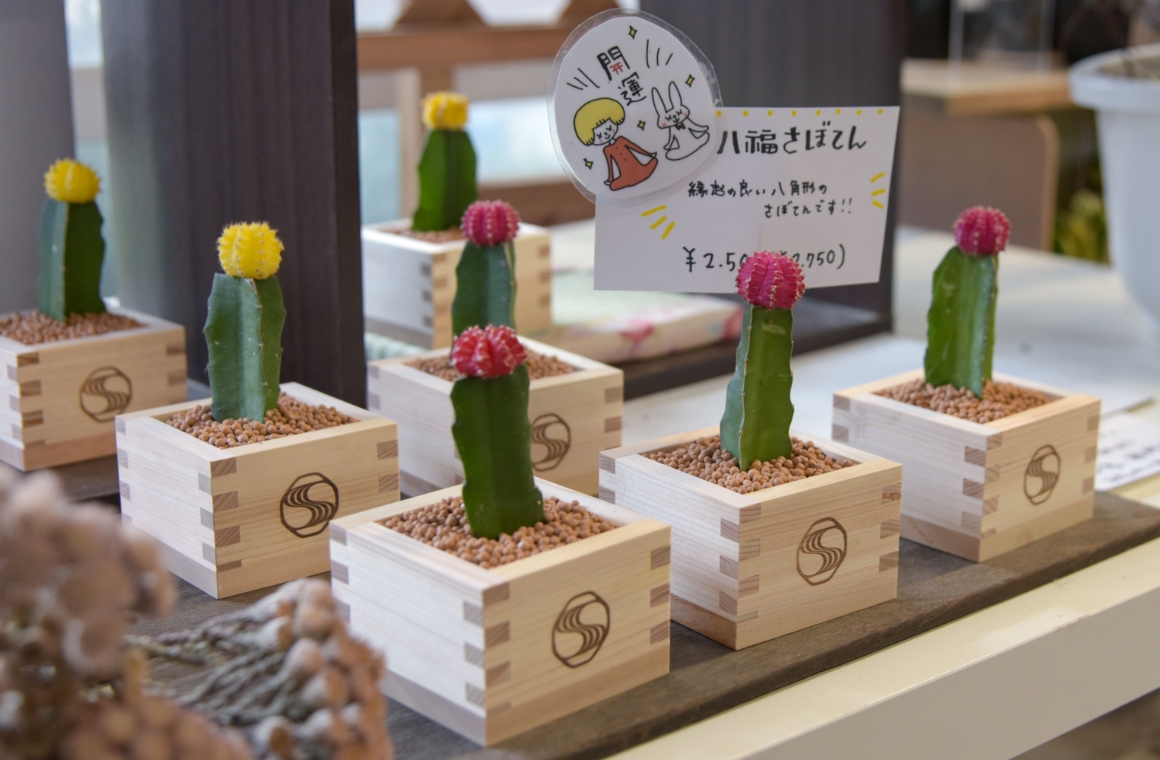 人気の「八福さぼてん」