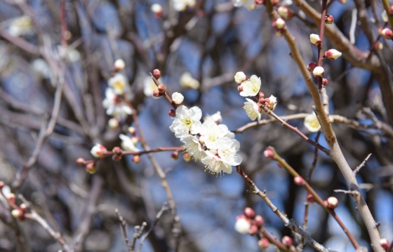 芝生や東屋もあって、のんびりできます