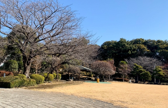 芝生や東屋もあって、のんびりできます